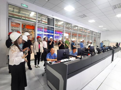 技術(shù)驅(qū)動(dòng)、智造升級(jí) 德城區(qū)百億級(jí)綠色建材產(chǎn)業(yè)新紀(jì)元的崛起與賦能